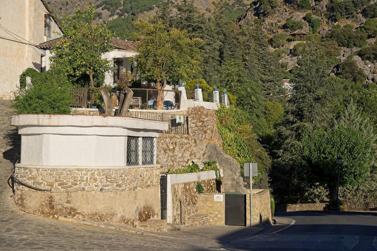 Gasthaus Don Claudio Grazalema Exterior foto