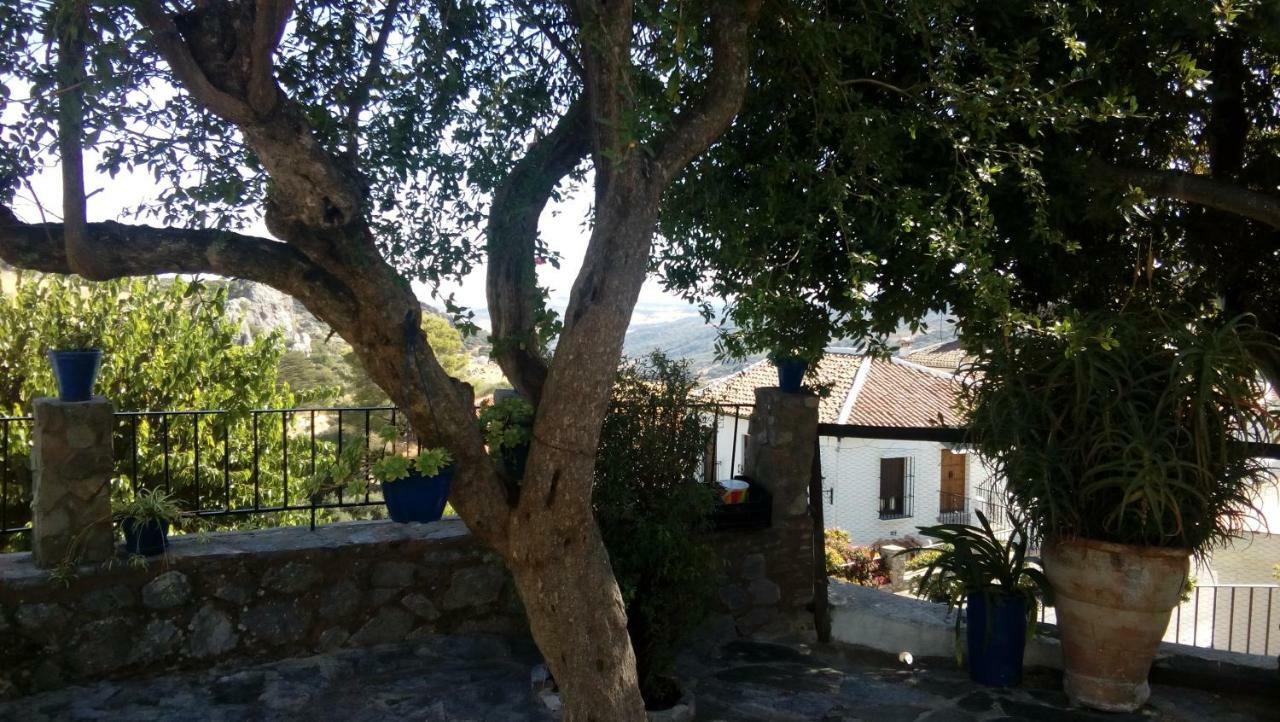 Gasthaus Don Claudio Grazalema Exterior foto